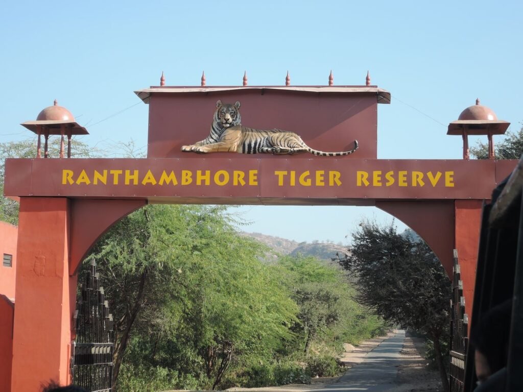 Ranthambore Safari Booking